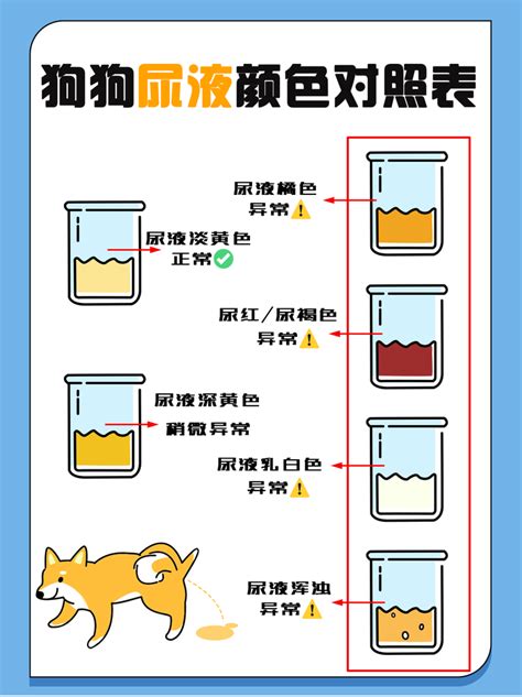 狗狗尿液顏色|宠物狗狗尿尿的学问！褐色？浑浊？结晶？注意尿的颜色与频率？。